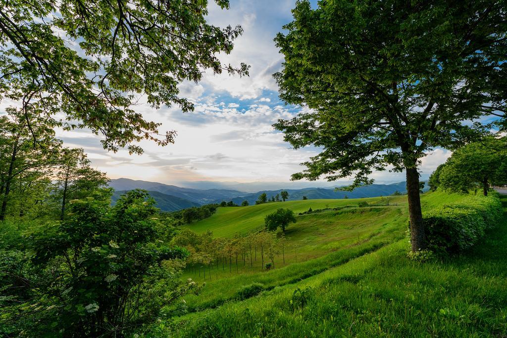 Agriturismo Casapasserini Londa Zewnętrze zdjęcie