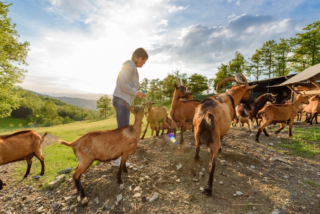 Agriturismo Casapasserini Londa Zewnętrze zdjęcie