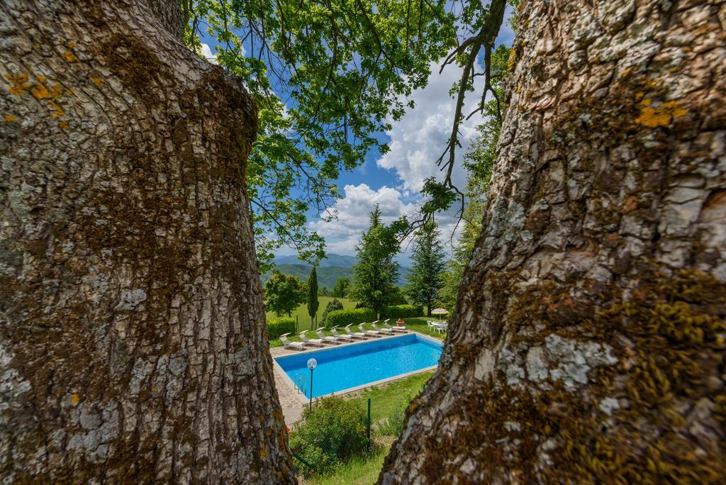 Agriturismo Casapasserini Londa Zewnętrze zdjęcie