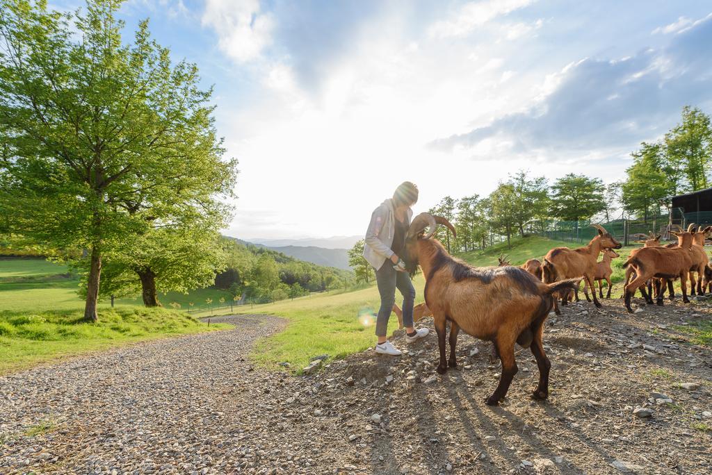 Agriturismo Casapasserini Londa Zewnętrze zdjęcie